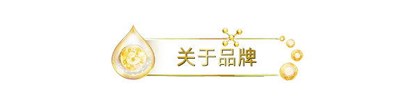 关于品牌