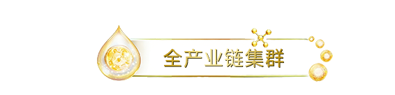 全产业链集群